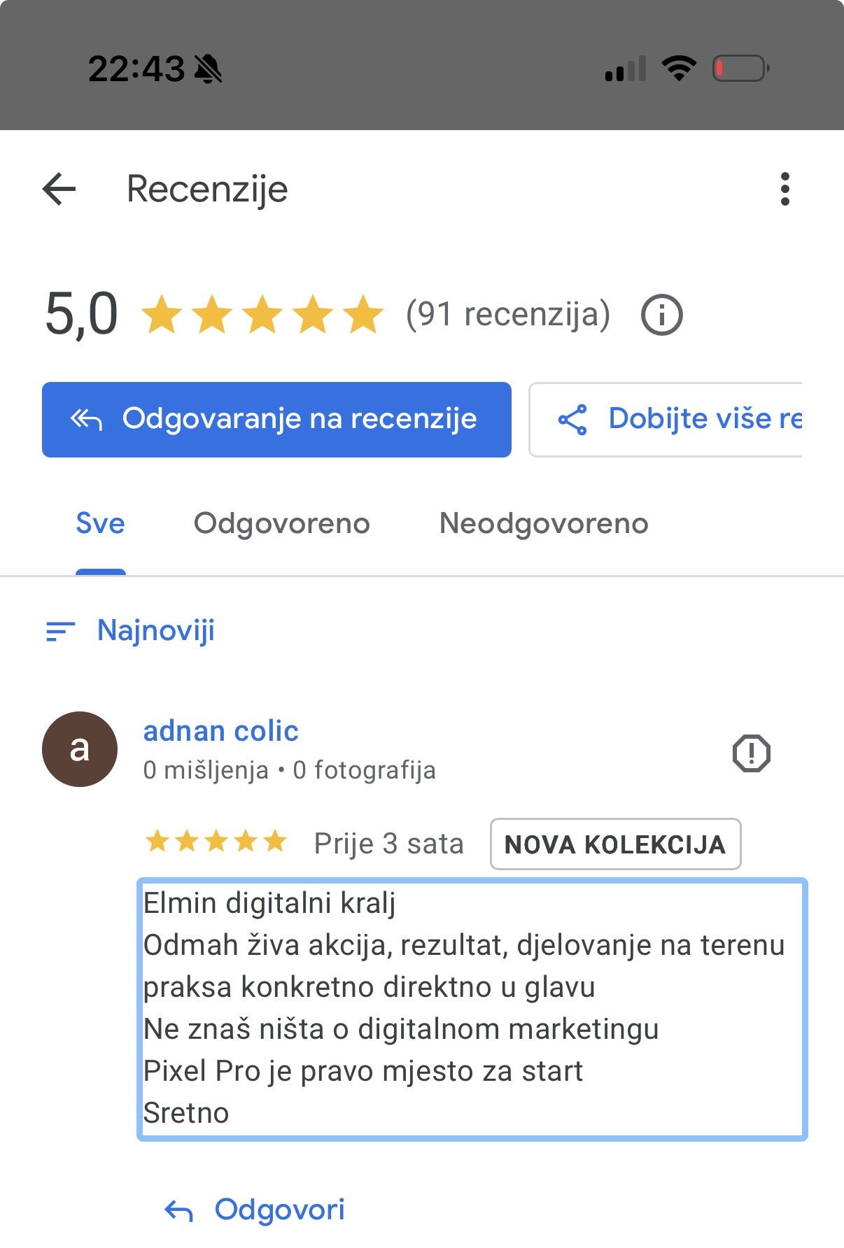 Recenzija