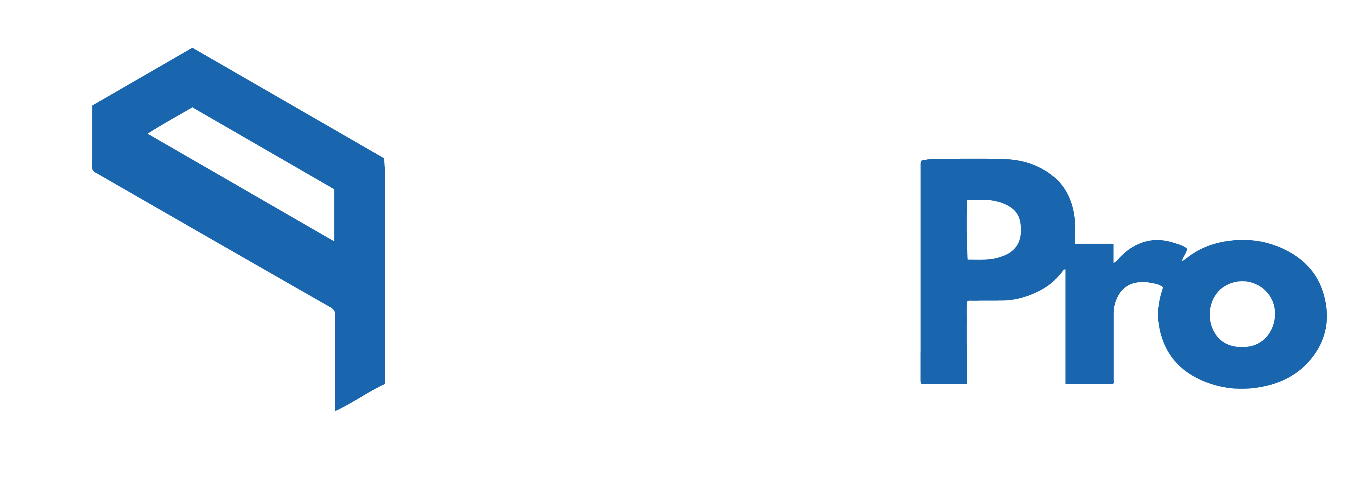 PixelPro logo